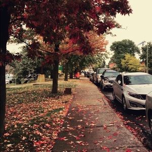 Meet your Posher, Wadha